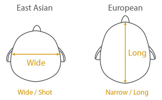 diagram showing East Asian heads being wider/rounder than European heads which are more oblong