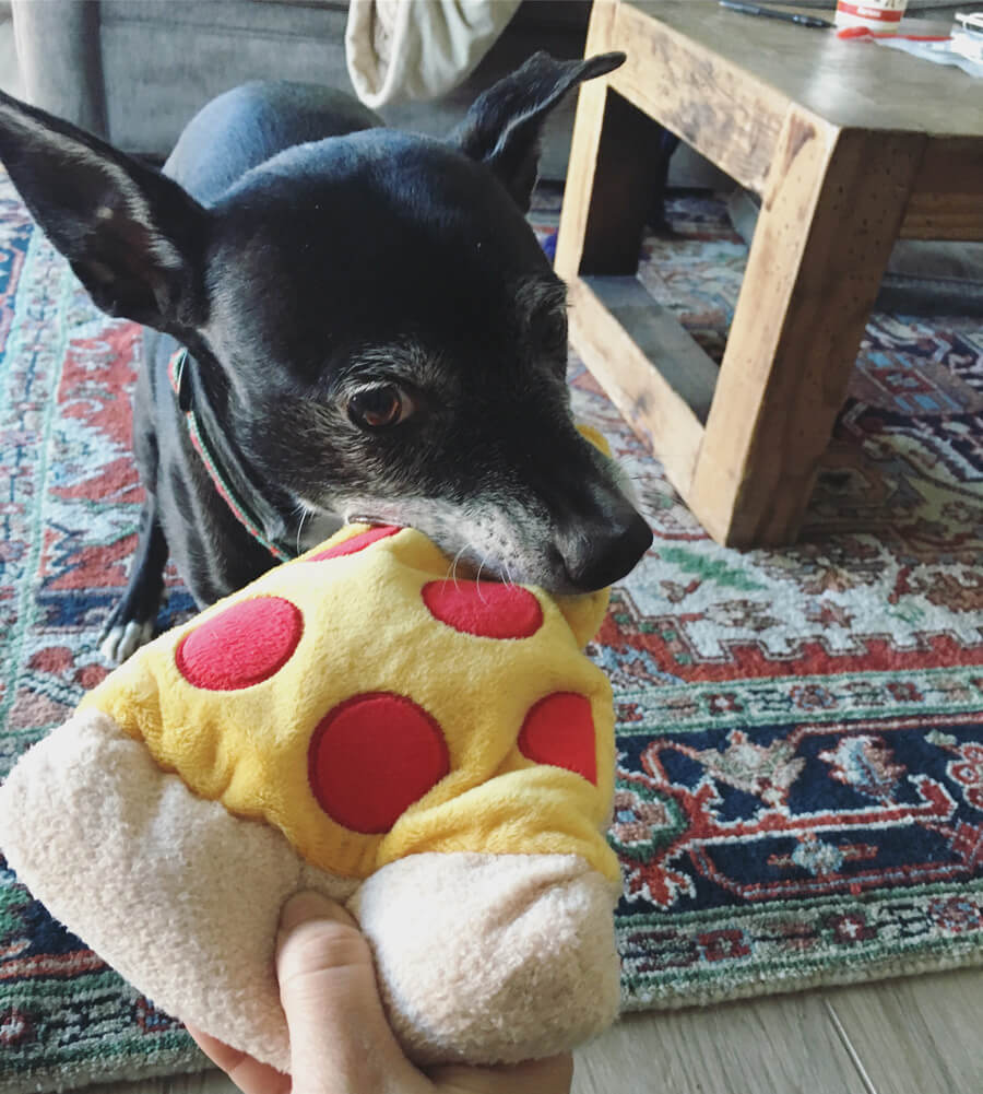 Boomer grabbing a pizza toy
