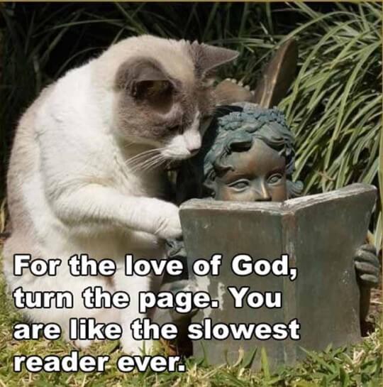 a cat looks over the shoulder of a statue reading a book and the caption reads “For the love of God turn the page. You are like the slowest reader ever.”