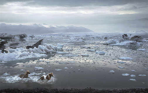 horses running through icy water
