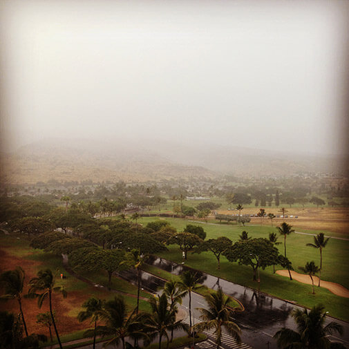 foggy Hawaiian morning
