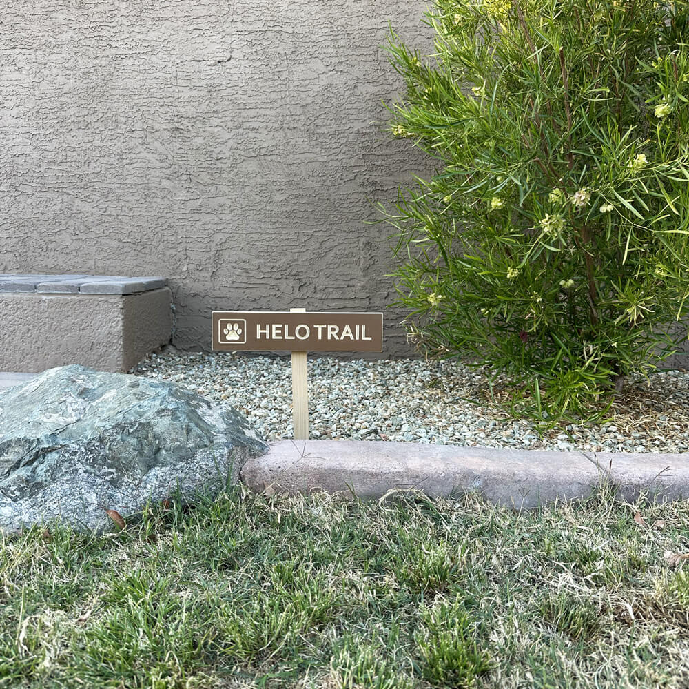 a carved wood trail sign that says “Helo Trail” with a pawprint, staked low to the ground next to a rock and a curbed edge of grass