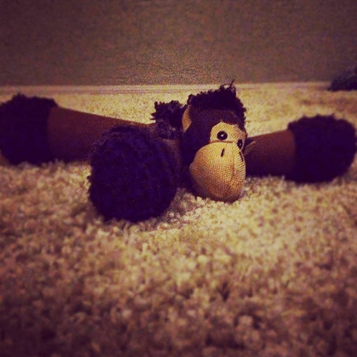 a monkey dog toy on the carpet