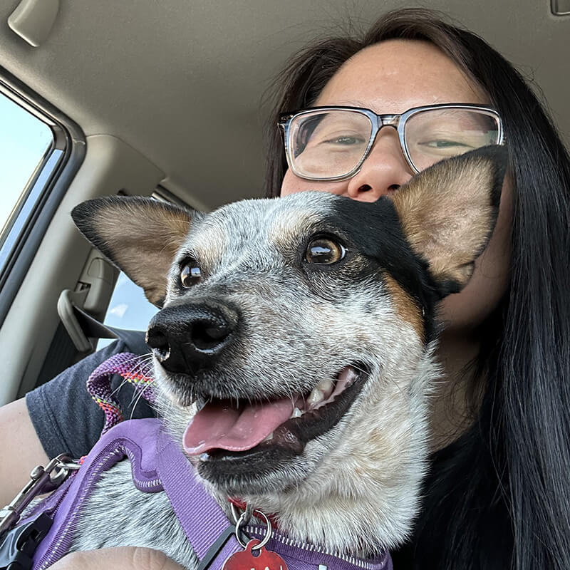 selfie of me in the car holding Gravy, a small blue heeler dog