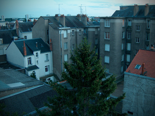Paris rooftops