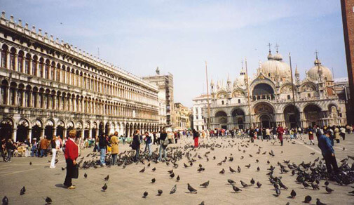 Saint Mark’s Square covered in pigeons