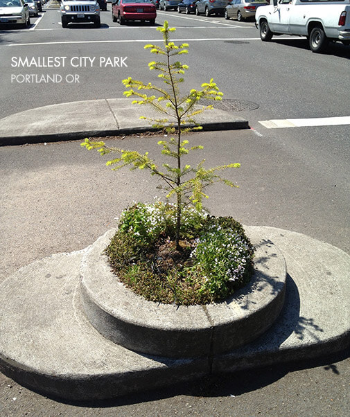 smallest city park, a tiny tree in the center of a street in Portland