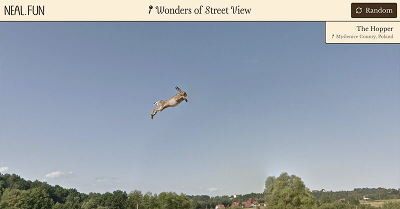 The Hopper in Myślenice County, Poland: a rabbit is leaping in the air